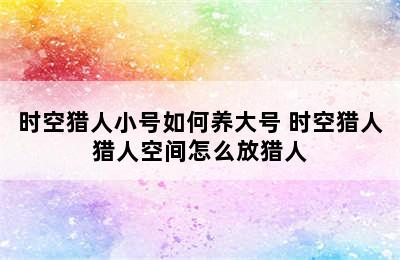 时空猎人小号如何养大号 时空猎人猎人空间怎么放猎人